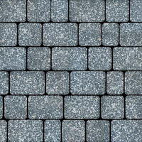  Тротуарная плитка Artstein Инсбрук Альт 60 мм Селигер BackWash: внешний вид